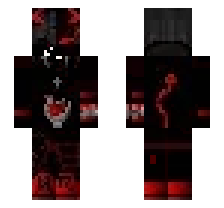 skin