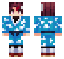 skin