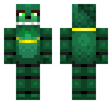 skin