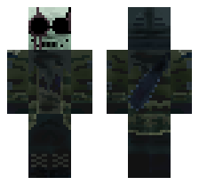 skin