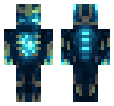 skin