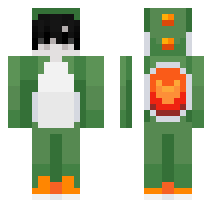 skin