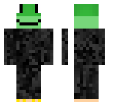 skin