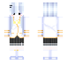 skin