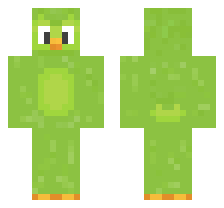 skin