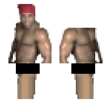 skin