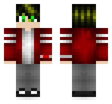 skin