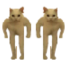 duffcat味クッキー