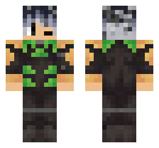 skin