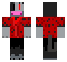 skin
