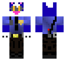 skin