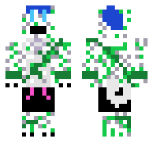 skin