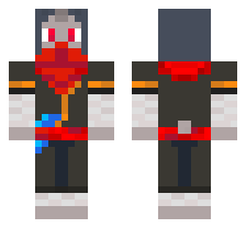 skin