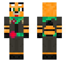 skin