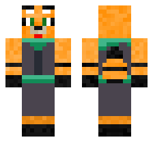 skin