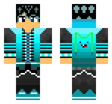skin