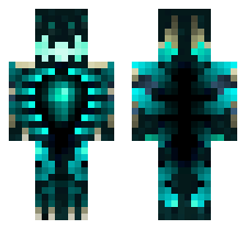 skin
