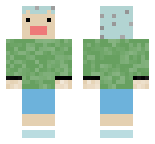 skin