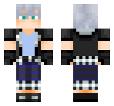 skin