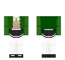 skin