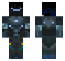 skin