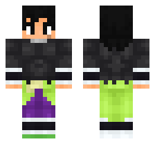 skin