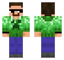 skin