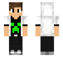 skin
