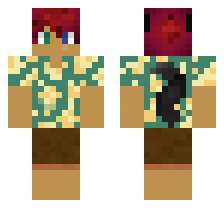 skin