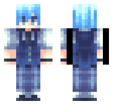 skin