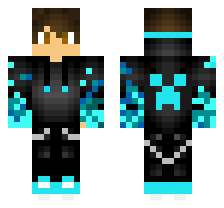 skin