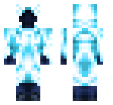 skin