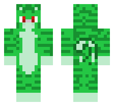 skin