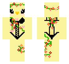 skin