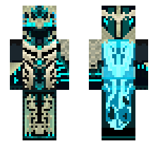 skin