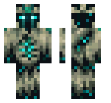 skin