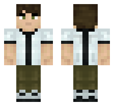 skin