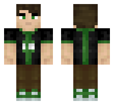 skin