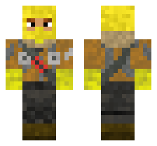 skin