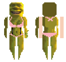 skin