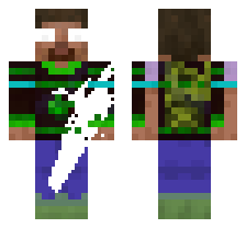 skin