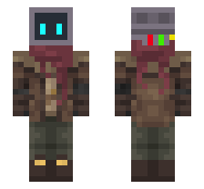 skin
