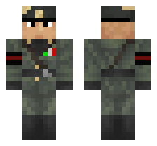 skin