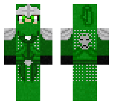 skin