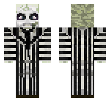 skin