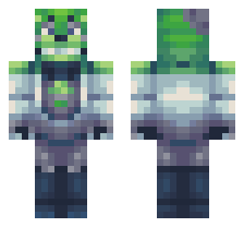 skin
