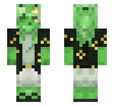 skin