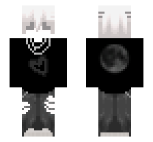 skin