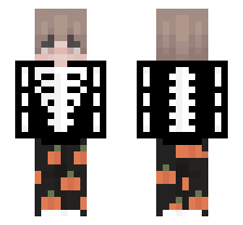 skin