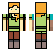 skin